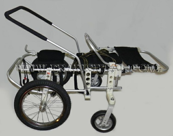 Quad Wheel Cart for dog